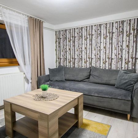 Apartament Tajemniczy Ogrod Scisle Centrum زاكوباني المظهر الخارجي الصورة